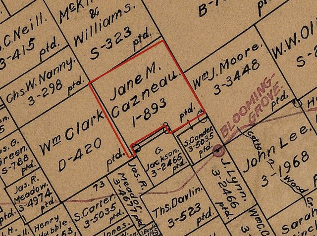 A section of the 1924 Land Office map of Navarro County: a survey outlined in red and labelled Jane M. Cazneau, 1-893, with Blooming Grove written in purple at its southeast corner