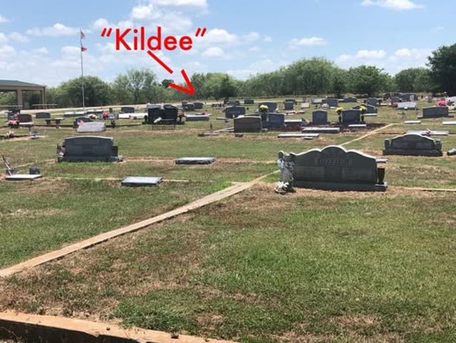 Rose Hill Cemetery, with an arrow and the word Kildee marking a spot at the far edge beyond the rows of stones